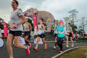 BIB: 
                            <button type="button" onclick="openModal(26528553)" class="btn btn-primary btn-sm float-right btn-popup" data-toggle="modal" data-target=".modal-high-quality">
                        <i class="fas fa-shopping-cart"></i> Add to Cart
                    </button>
                                            <button type="button" onclick="isThisMe(26528553, true)" class="btn btn-success btn-sm float-right btn-popup btn-isme hidden" data-toggle="tooltip" data-placement="bottom" title="นี่คือรูปของคุณใช่ไหม คลิกที่นี่เพื่อเอาเข้าอัลบั้ม">
                        <i class="fas fa-plus"></i> Add to album
                    </button>
                    <button type="button" onclick="isThisMe(26528553, false)" class="btn btn-warning btn-sm float-right btn-popup btn-isnotme hidden">
                        <i class="fas fa-ban"></i> Remove from album
                    </button>